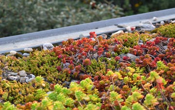 the cost of Cargate Common green roof installation
