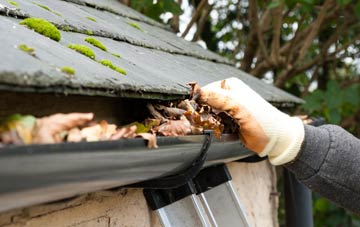 gutter cleaning Cargate Common, Norfolk