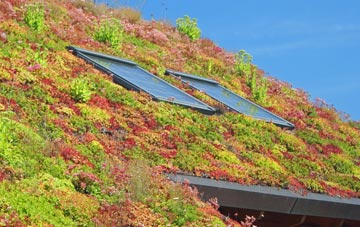 Cargate Common living roof systems