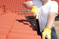 Cargate Common roof cleaners